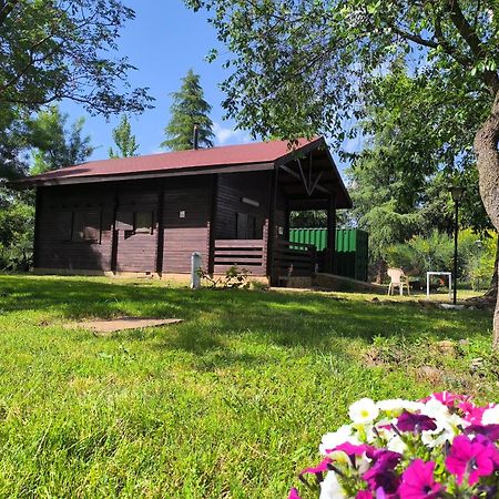 Casas Rurales Tabla Honda El Robledo  Екстериор снимка