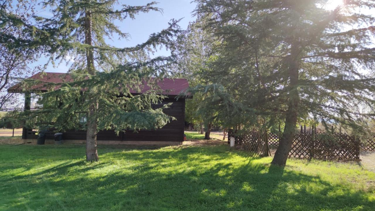 Casas Rurales Tabla Honda El Robledo  Екстериор снимка