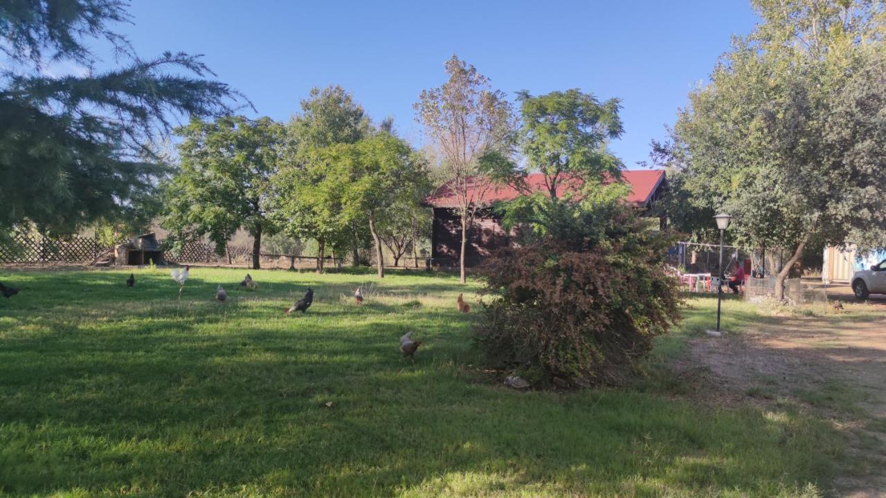 Casas Rurales Tabla Honda El Robledo  Екстериор снимка