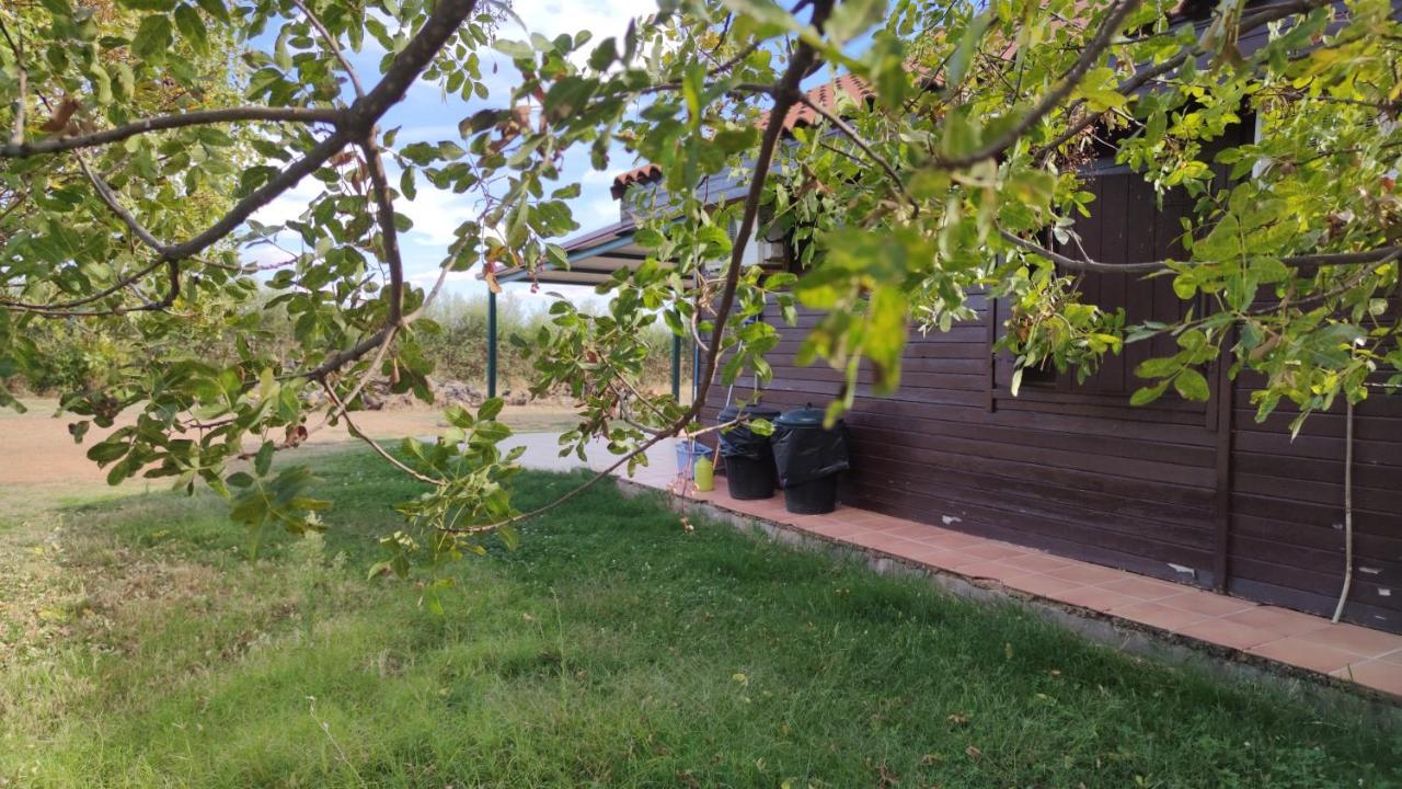 Casas Rurales Tabla Honda El Robledo  Екстериор снимка