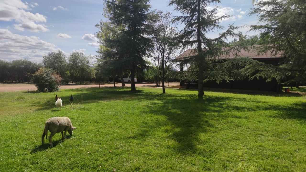 Casas Rurales Tabla Honda El Robledo  Екстериор снимка