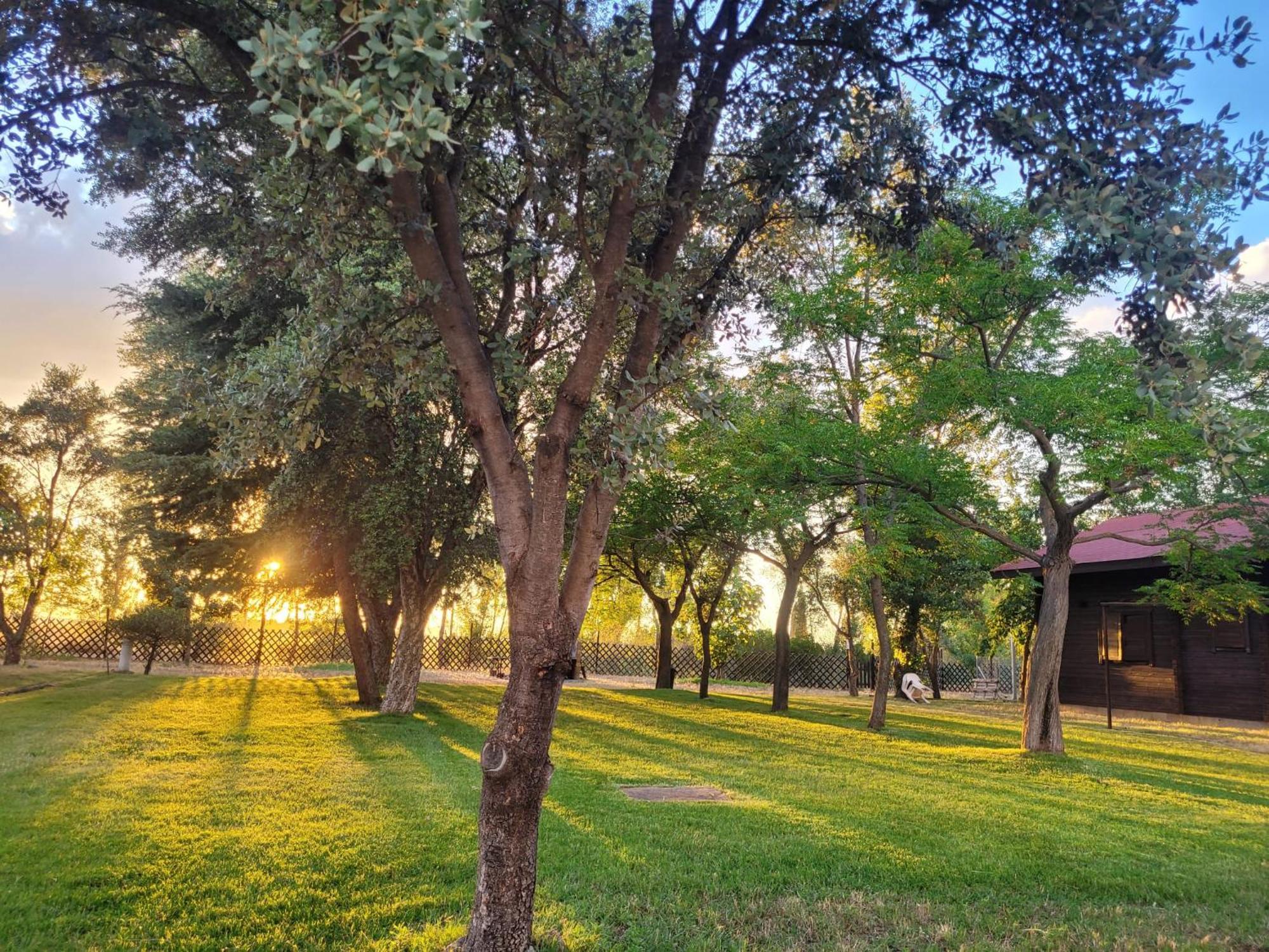 Casas Rurales Tabla Honda El Robledo  Екстериор снимка